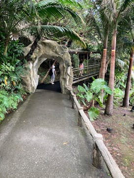 琉球村に投稿された画像（2025/8/19）