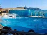 新江ノ島水族館に投稿された画像（2025/8/20）