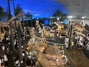 福井県立恐竜博物館に投稿された画像（2025/8/19）
