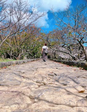 今帰仁城跡に投稿された画像（2025/8/19）