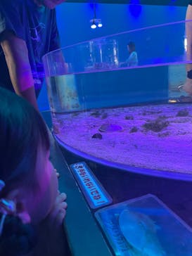 南知多ビーチランド＆南知多おもちゃ王国に投稿された画像（2025/8/19）