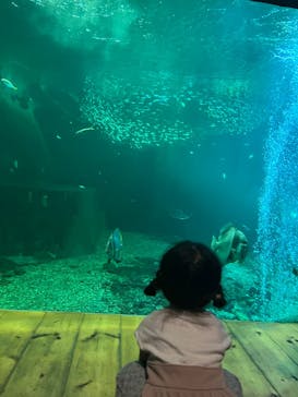 南知多ビーチランド＆南知多おもちゃ王国に投稿された画像（2025/8/19）