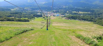 ひるがのピクニックガーデンに投稿された画像（2025/8/19）