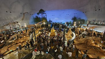 福井県立恐竜博物館に投稿された画像（2025/8/19）