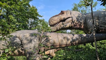 福井県立恐竜博物館に投稿された画像（2025/8/19）