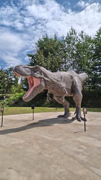 福井県立恐竜博物館に投稿された画像（2025/8/19）