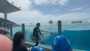 鴨川シーワールドに投稿された画像（2025/8/20）