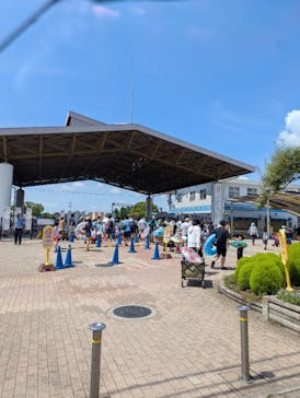 しらこばと水上公園（埼玉県公園緑地協会）に投稿された画像（2025/8/20）