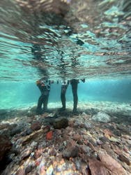 Nikko Jumbo（日光ジャンボ）に投稿された画像（2025/8/20）