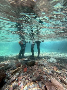 Nikko Jumbo（日光ジャンボ）に投稿された画像（2025/8/20）