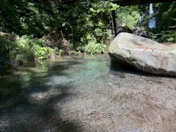 Nikko Jumbo（日光ジャンボ）に投稿された画像（2025/8/20）