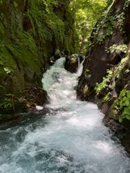 Nikko Jumbo（日光ジャンボ）に投稿された画像（2025/8/20）