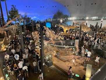 福井県立恐竜博物館に投稿された画像（2025/8/20）