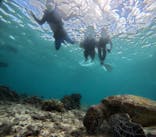 CHURAに投稿された画像（2025/8/20）