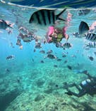 沖縄マリンサービス碧に投稿された画像（2025/8/20）