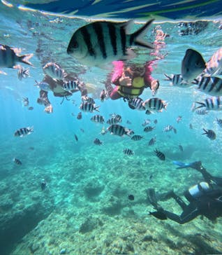 沖縄マリンサービス碧に投稿された画像（2025/8/20）