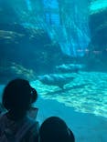 名古屋港水族館に投稿された画像（2025/8/20）
