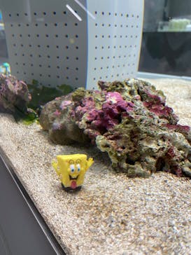 AOAO SAPPOROに投稿された画像（2025/8/20）