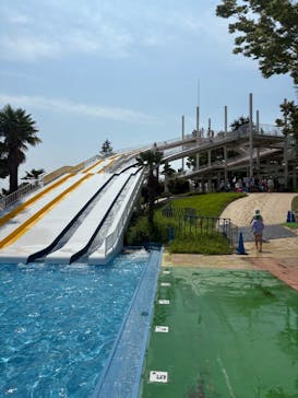 しらこばと水上公園（埼玉県公園緑地協会）に投稿された画像（2025/8/20）
