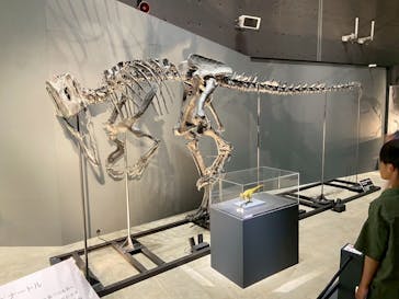 福井県立恐竜博物館に投稿された画像（2025/8/20）