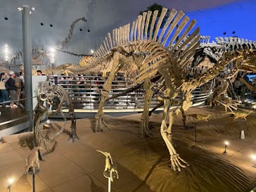 福井県立恐竜博物館に投稿された画像（2025/8/20）