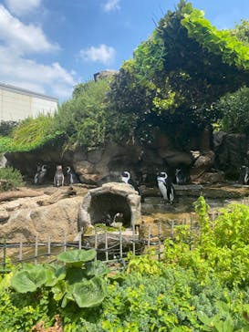 サンシャイン水族館に投稿された画像（2025/8/20）