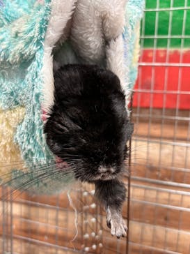 いきもの探検隊上尾に投稿された画像（2025/8/20）