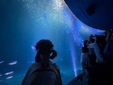 名古屋港水族館に投稿された画像（2025/8/20）