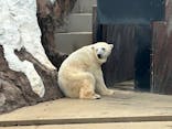 恩賜上野動物園に投稿された画像（2025/8/20）