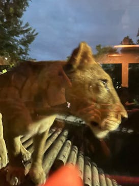 多摩動物公園に投稿された画像（2025/8/20）