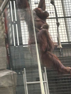 多摩動物公園に投稿された画像（2025/8/20）