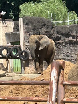 多摩動物公園に投稿された画像（2025/8/20）