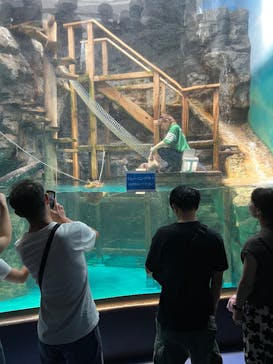 アクアワールド茨城県大洗水族館に投稿された画像（2025/8/20）