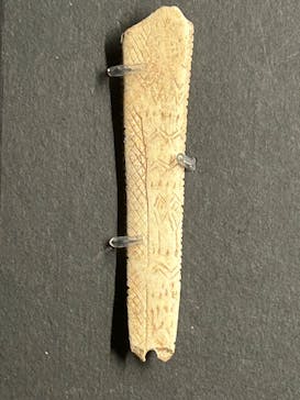 特別展「氷河期展 〜人類が見た4万年前の世界〜」（国立科学博物館）に投稿された画像（2025/8/20）