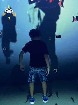 ハウステンボスに投稿された画像（2025/8/20）