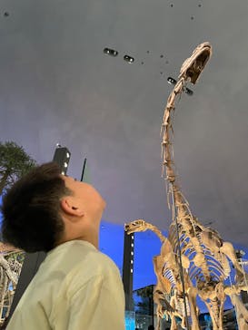 福井県立恐竜博物館に投稿された画像（2025/8/20）