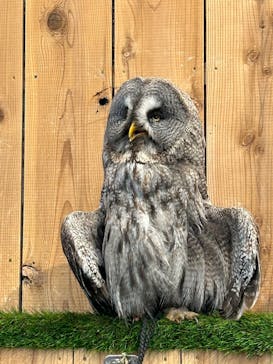 伊豆シャボテン動物公園に投稿された画像（2025/8/20）