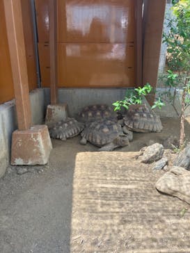 竹島水族館に投稿された画像（2025/8/20）