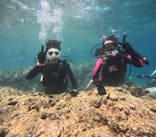 沖縄マリンサービス碧に投稿された画像（2025/8/20）