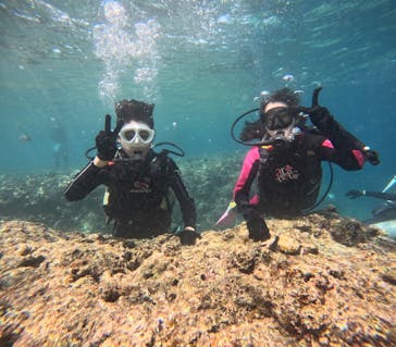 沖縄マリンサービス碧に投稿された画像（2025/8/20）