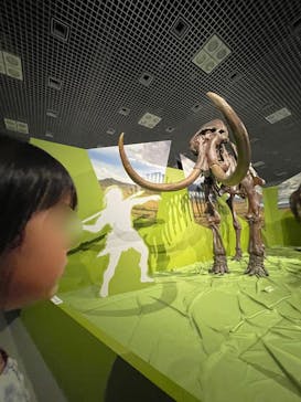 特別展「氷河期展 〜人類が見た4万年前の世界〜」（国立科学博物館）に投稿された画像（2025/8/20）