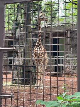 恩賜上野動物園に投稿された画像（2025/8/20）