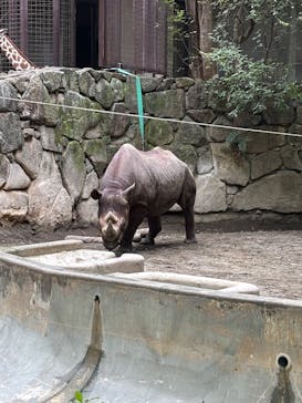 恩賜上野動物園に投稿された画像（2025/8/20）