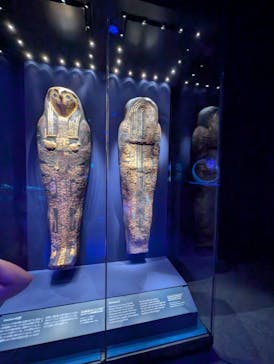 ACN ラムセス大王展 ファラオたちの黄金に投稿された画像（2025/8/20）