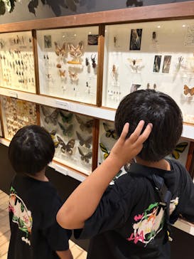 体感するファーブル昆虫展in横浜赤レンガ倉庫に投稿された画像（2025/8/20）