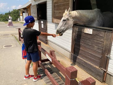 牧歌の里に投稿された画像（2025/8/20）