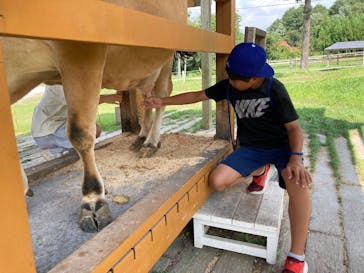 牧歌の里に投稿された画像（2025/8/20）