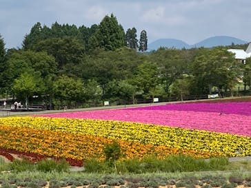 牧歌の里に投稿された画像（2025/8/20）