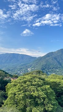 彫刻の森美術館に投稿された画像（2025/8/20）