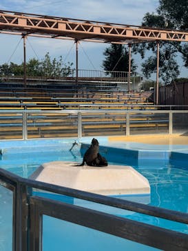 東武動物公園に投稿された画像（2025/8/20）